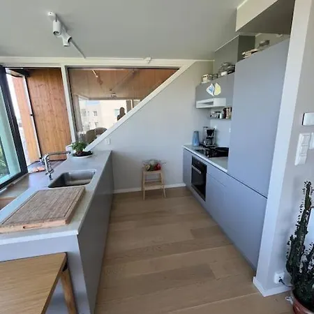 Penthouse W/view, Private Rooftop, Jacuzzi, Parking Oslo