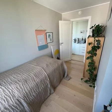 Penthouse W/view, Private Rooftop, Jacuzzi, Parking Lägenhet Oslo
