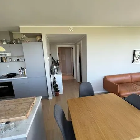 Apartment Penthouse W/view, Private Rooftop, Jacuzzi, Parking Oslo